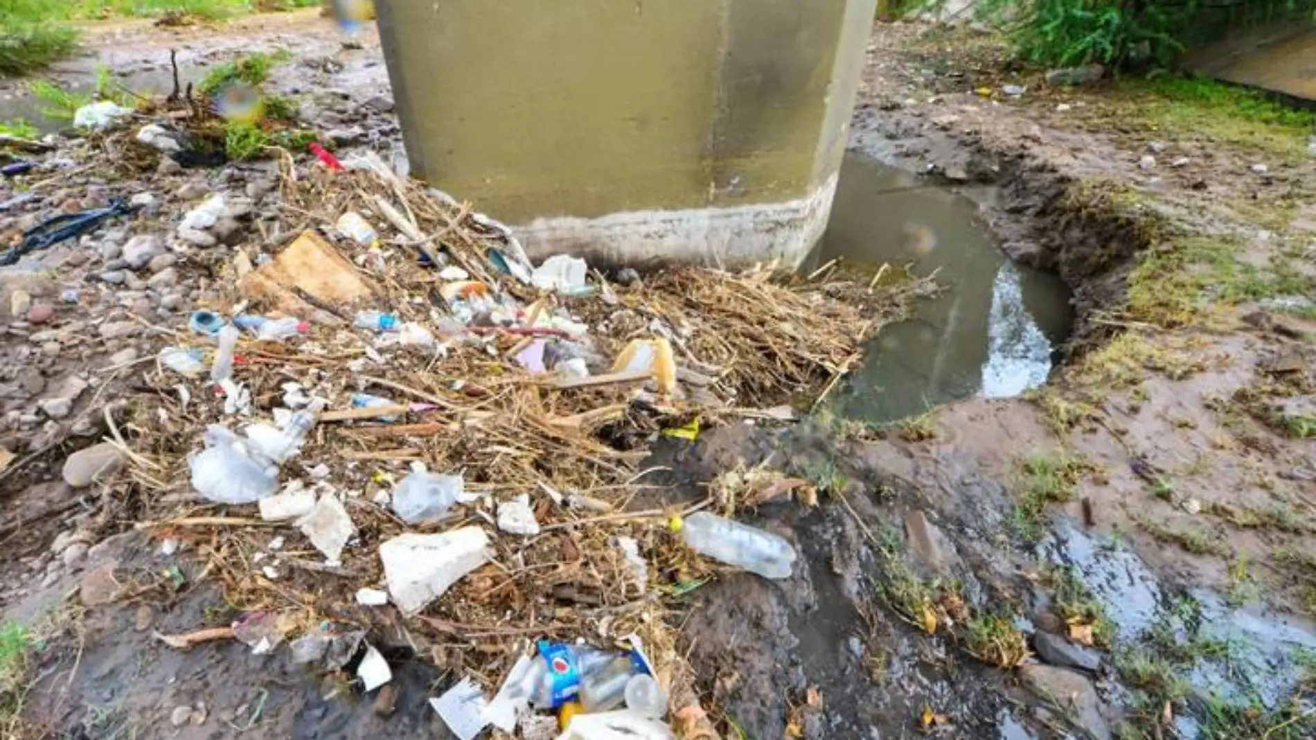 Basura contaminación sacramento